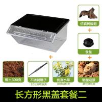 小号饲养箱塑料透明蝎子守宫蜥蜴养殖箱陆龟昆虫鸣虫饲养盒_1_223 默认尺寸 长方形黑盖套餐二