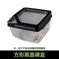 小号饲养箱塑料透明蝎子守宫蜥蜴养殖箱陆龟昆虫鸣虫饲养盒_1_223 默认尺寸 方形黑盖裸盒