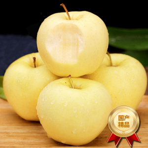 [西沛生鲜]山东新鲜黄元帅苹果粉面苹果 净重5斤 单果80-90mm 甜蜜可口