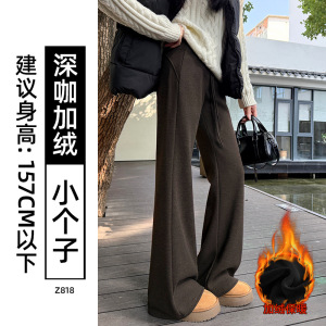白色羊毛糯米裤子女冬新款加绒加厚休闲垂感小个子毛呢微喇裤_273