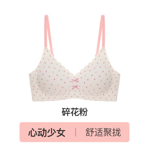 少女内衣女小胸聚拢18岁高中生大学生无痕纯欲蕾丝碎花软支撑文胸
