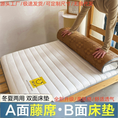 家用冬夏双面床垫软垫两用冰藤席加厚学生宿舍凉席榻榻米褥子