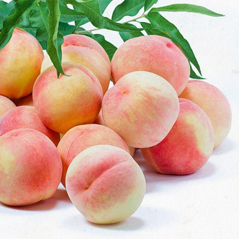 七果果 安徽水蜜桃 4斤 单重约4两 桃子 新鲜水果 sg