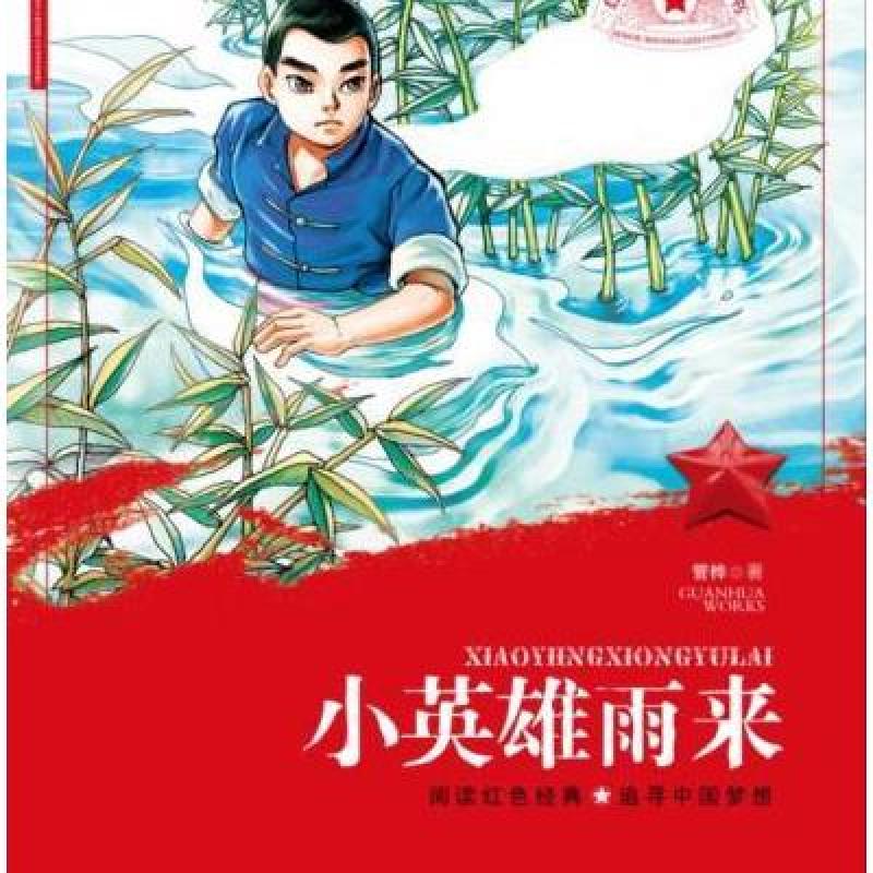 14《小英雄雨来》教案设计