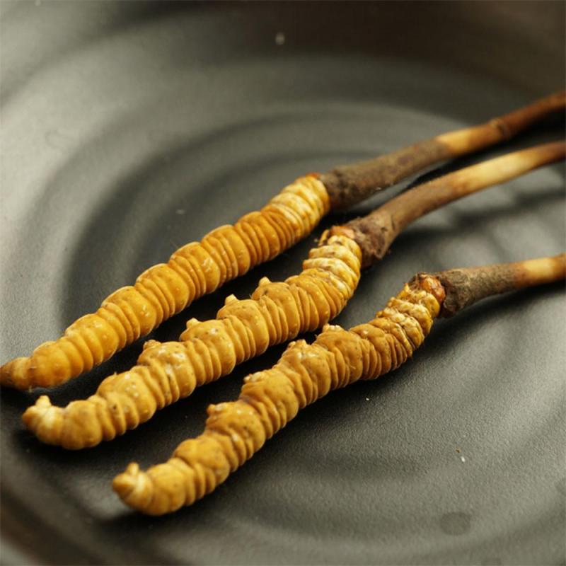 秦仁堂 新鲜冬虫夏草正品 青海玉树野生虫草1g/根【5根起售】