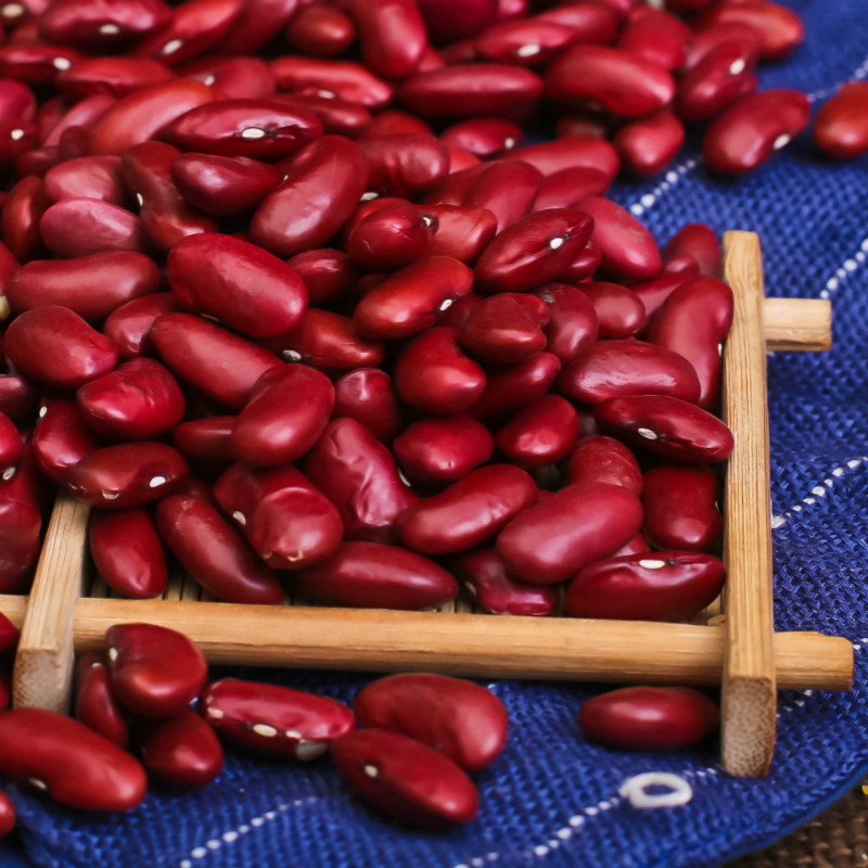 【中华特色馆】凤翔馆关中缘农家红腰豆 红芸豆 云豆 大红豆 干货豆类