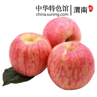红富士苹果新鲜甜脆纯天然孕妇儿童水果70mm