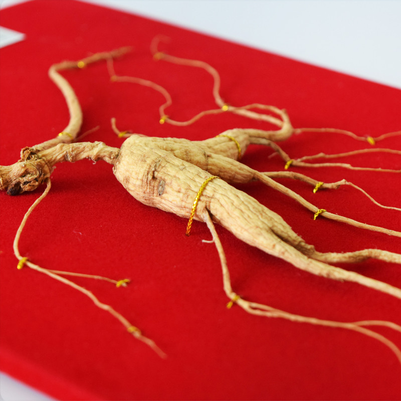 买卖提 四季里通化县特产长白山人参 移山参7/8g每支 人参礼盒装