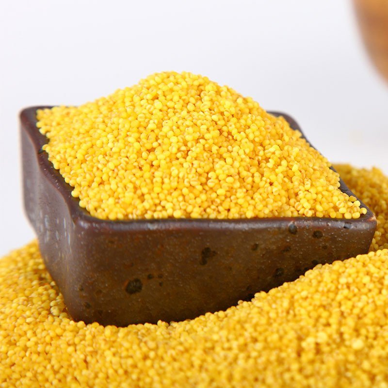 硃碌科 有机红谷小米5斤袋装