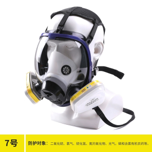 梅安6600防毒面具消毒防烟面罩全面罩喷漆场消防防工业粉尘防异味喷涂气体