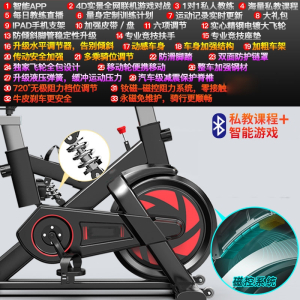闪电客动感单车室内健身自行车减肥运动单车家用健身器材