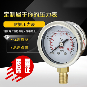 阿斯卡利耐震压力表YN40不锈钢材质油压气压水压螺纹M10x1NPT18141分