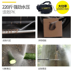 指南车(zhinanche)洗车高压家用洗车机220v大功率全自动水泵便携式水枪 R7[标配版B]