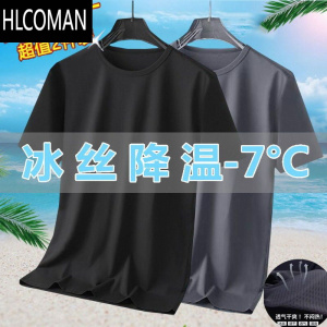 HLCOMAN冰丝t恤男速干夏季短袖上衣网眼男装休闲大码半袖男士运动服圆领