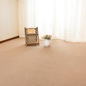 美帮汇卧室满铺办公室地毯家用房间客厅茶几床边毯入户垫进地垫定制