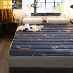 床垫软垫子1.8x2.0防滑垫床 薄款双人可水洗床上用榻榻米四季通用 三维工匠
