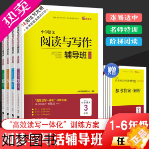 [正版]木头马阅读与写作辅导班小学一二三四五六年级上下册语文人教版 小学语文阅读理解高效训练阅读理解专项训练作文培优辅导