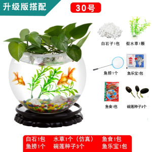 小鱼缸客厅米妮小型乌龟金鱼缸桌面创意龟缸家用水培器皿植物花盆容器