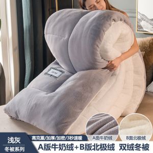 被子双面绒冬被秋冬季保暖加厚牛奶绒加绒被芯褥