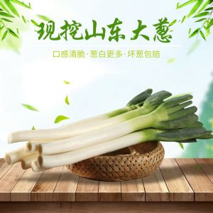 大葱批发香葱铁杆大葱新鲜大葱10斤/3斤/5斤现挖现发
