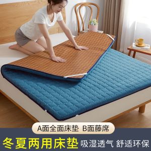床垫子软垫加厚宿舍单人垫被冬夏季凉席两用折叠垫褥子家用