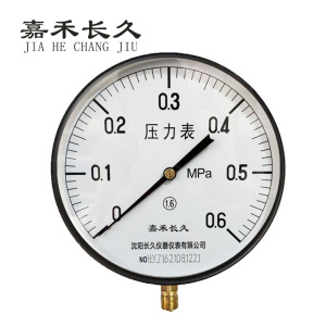 嘉禾长久+压力表检测定制型+Y250+块