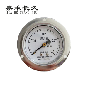 嘉禾长久 轴向带边压力表检测型 Y60ZT 块