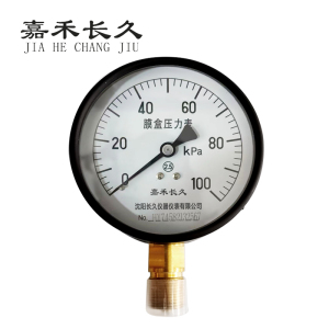 嘉禾长久 不锈钢膜盒压力表检测定制型 YE100BF 块