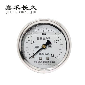 嘉禾长久 耐震压力表轴向检测定制型 YTN60Z 块