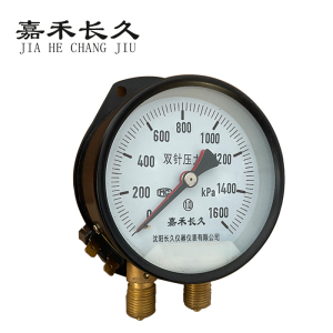 嘉禾长久 双针压力表 YZS-102 1.0级 带灯24v 台