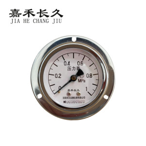 嘉禾长久 轴向带边压力表检测型 Y60ZT 块