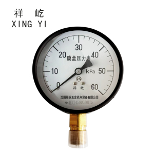 祥屹+膜盒压力表检测定制型+YE100+块
