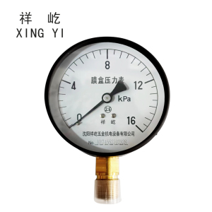 祥屹+膜盒压力表检测定制型+YE100+块
