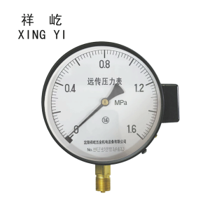 祥屹+远传压力表检测定制型+YTZ150+块