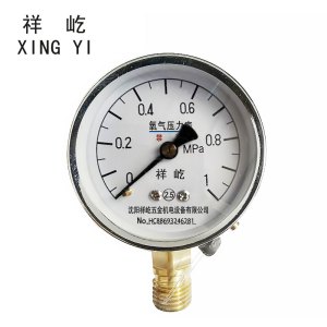 祥屹 +氧气压力表检测定制型+YO60+块