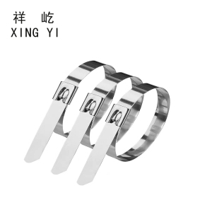 祥屹 不锈钢扎带(201) 10*根