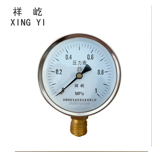祥屹 压力表检测型 Y60 块