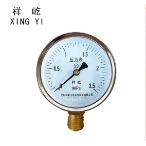 祥屹 压力表检测型 Y60 块
