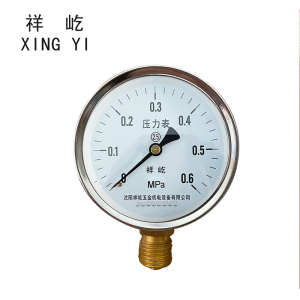祥屹 压力表检测型 Y60 块