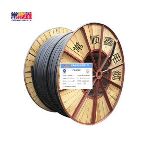 常顺鑫 低压铜芯电缆 ZC-YJV22 4×10+1×6 米