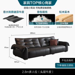 黑天鹅头层牛皮沙发家用客厅现代简约风格真皮沙发意式轻奢必选客厅沙发