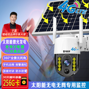 镭威视 4g太阳能摄像头 户外免插电 无电无网络监控器 家用通用手机远程360度全景视野带夜视 监控智能摄像头