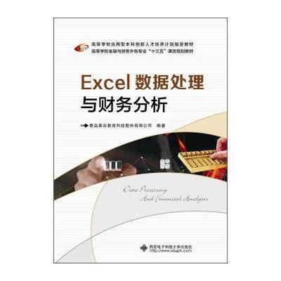 Excel数据处理与财务分析