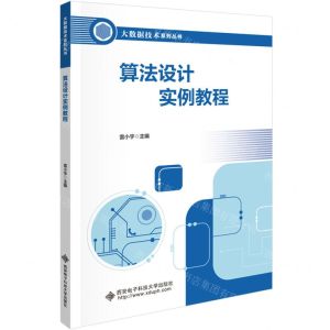 [N]算法设计实例教程/大数据技术系列丛书-9787560668741