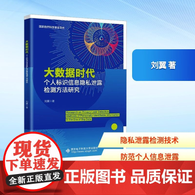 大数据时代个人标识信息隐私泄露检测方法研究 刘翼 著 计算机软件工程(新)专业科技 正版图书籍