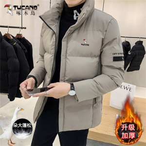啄木鸟冬季新款羽绒棉服男士加厚保暖立领棉衣棉袄子上衣服外套男