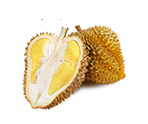 榴莲
