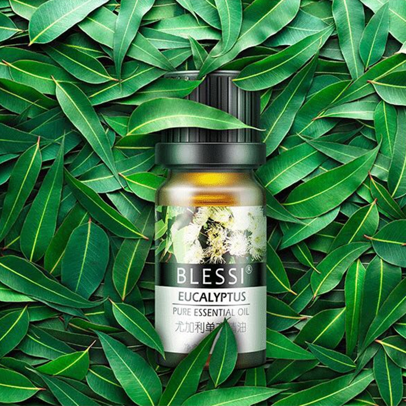 blessi eucalyptus pure essential oil 澳大利亚尤加利精油